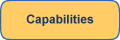 Capabilities